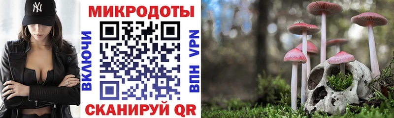 Галлюциногенные грибы Cubensis  где найти наркотики  Щёлкино 
